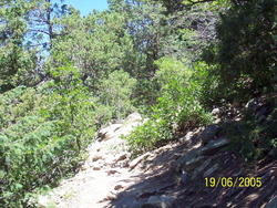 Philmont_Pictures_455.jpg