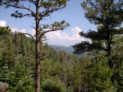 philmont_234.jpg