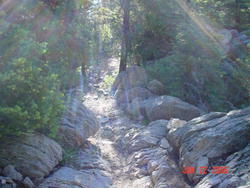 philmont_770.jpg