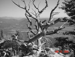 philmont_786.jpg