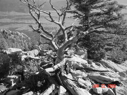 philmont_787.jpg