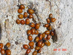 philmont_790.jpg
