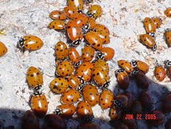 philmont_803.jpg