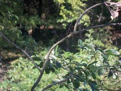 Cooperlake_035.jpg