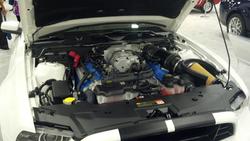 2012_03_24_18_48_24_135.jpg