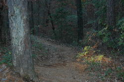 DSC_0023.JPG
