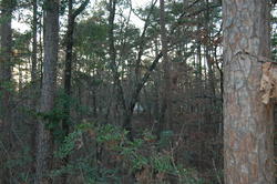 DSC_0028.JPG